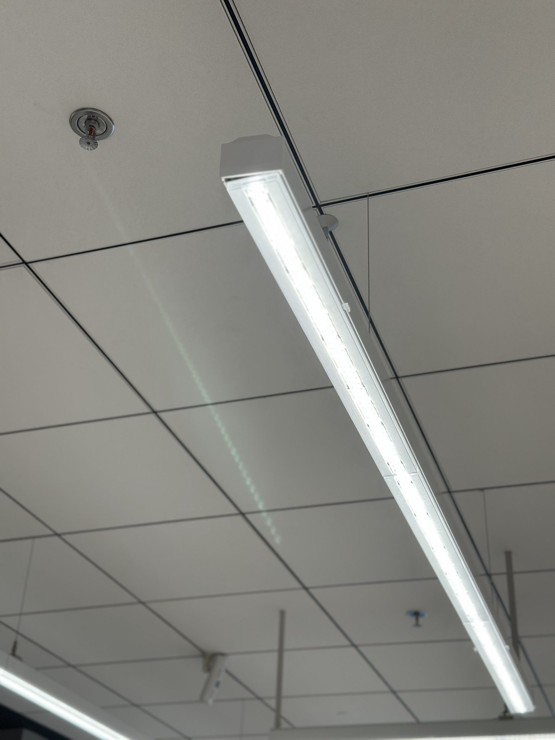 Techo con cuadrícula LED