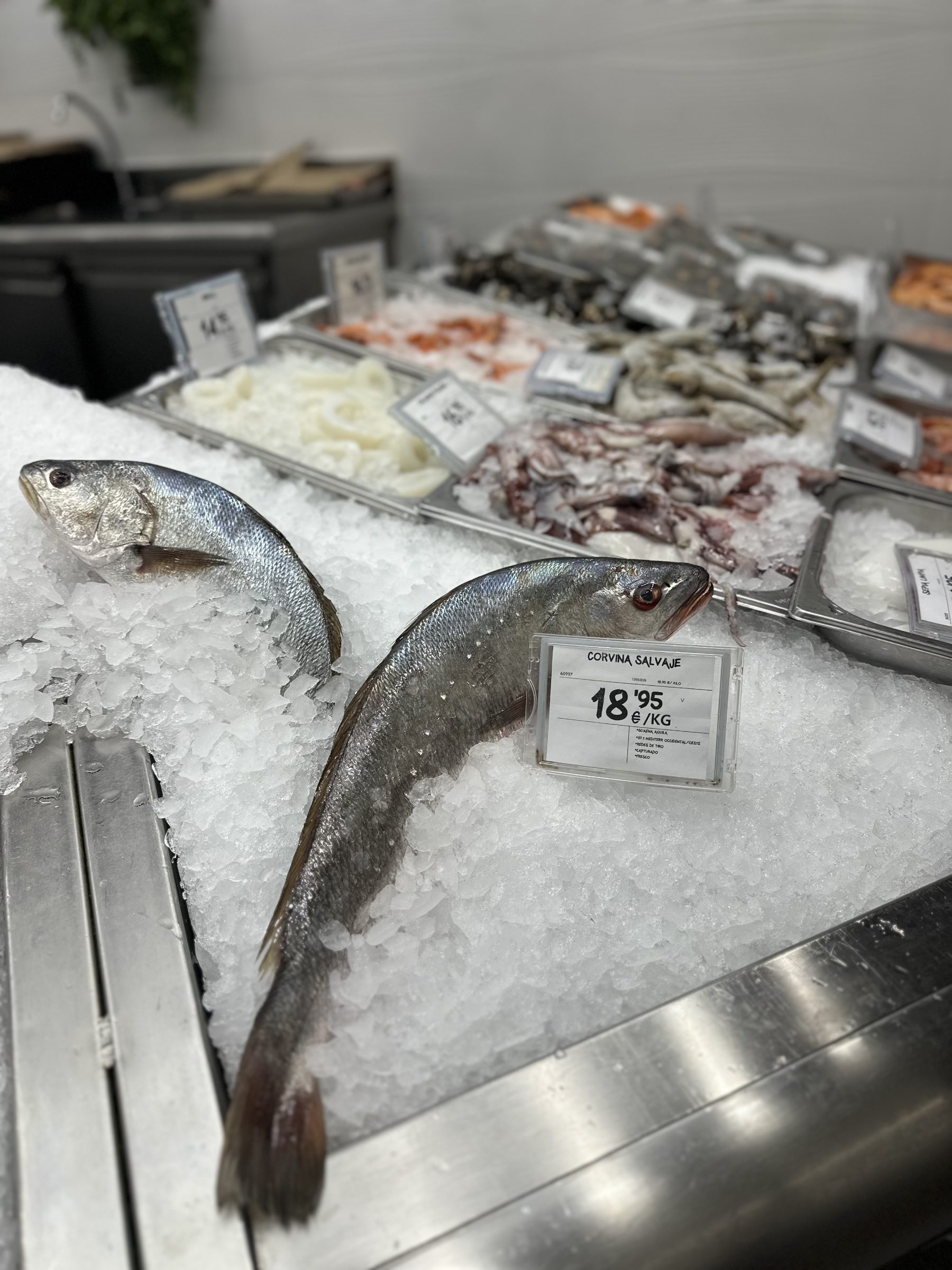 Producto de lonja pescadería BM
